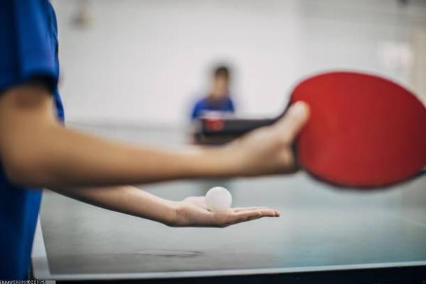 体育培训机构退租流程与法律风险(图1)